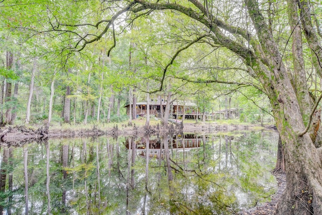 1373 Bridge St, Branchville, SC 29432 - water view with a forest