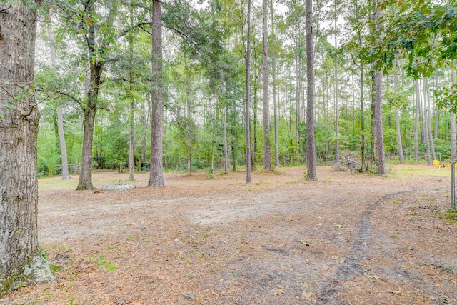 1373 Bridge St, Branchville, SC 29432 - view of woods