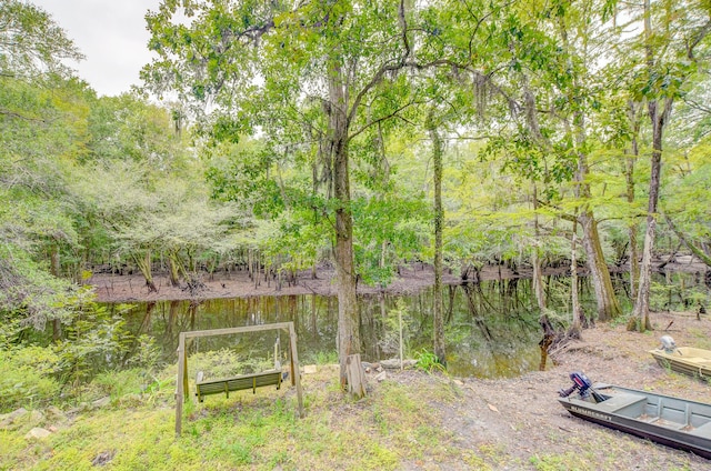 1373 Bridge St, Branchville, SC 29432 - view of yard with a forest view