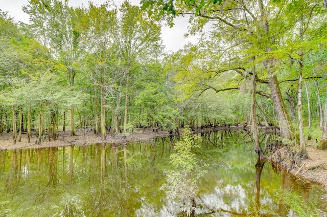 1373 Bridge St, Branchville, SC 29432 - water view