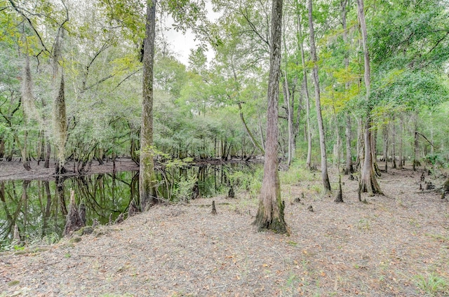 1373 Bridge St, Branchville, SC 29432 - view of tree filled area