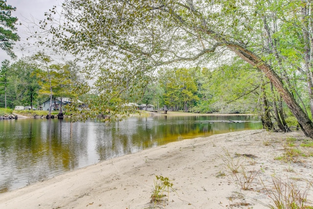 1373 Bridge St, Branchville, SC 29432 - water view
