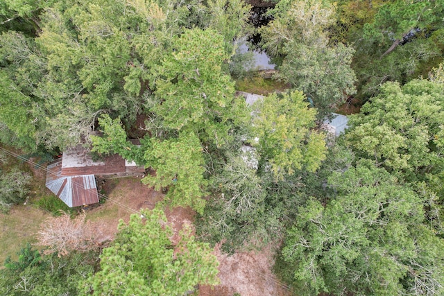 1373 Bridge St, Branchville, SC 29432 - aerial overview of property's location