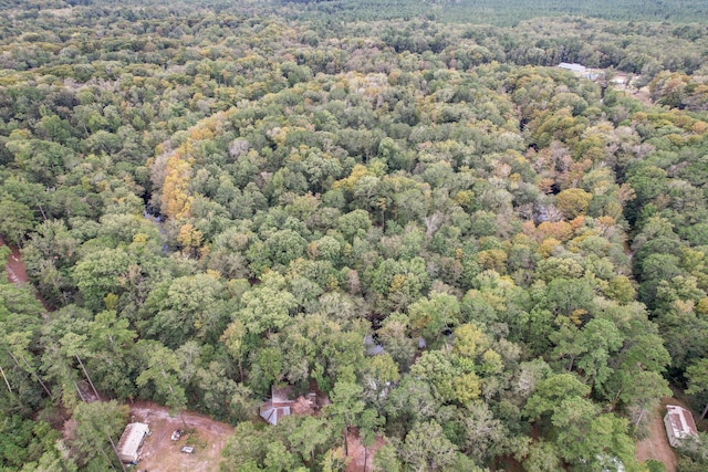 1373 Bridge St, Branchville, SC 29432 - view of property location featuring a forest