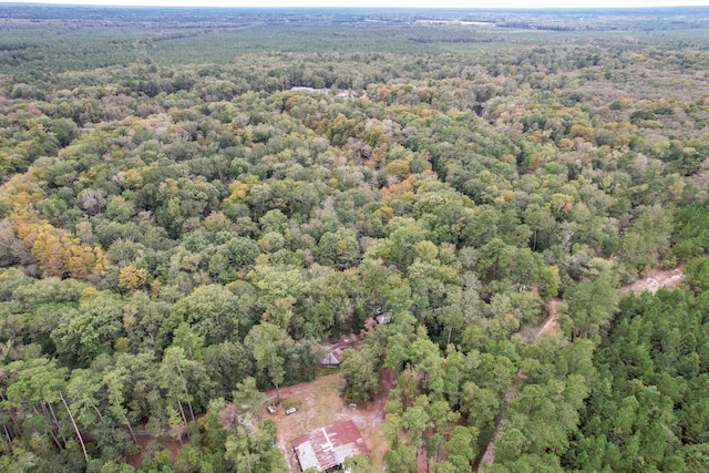 1373 Bridge St, Branchville, SC 29432 - bird's eye view of a forest