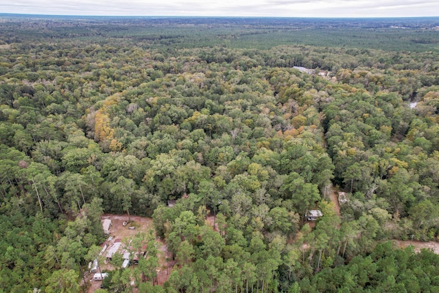 1373 Bridge St, Branchville, SC 29432 - aerial view of property's location with a forest