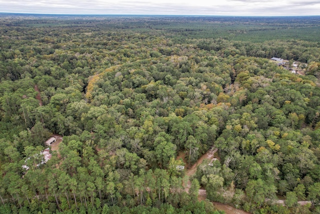 1373 Bridge St, Branchville, SC 29432 - aerial view of property and surrounding area featuring a forest