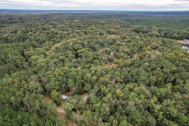 1373 Bridge St, Branchville, SC 29432 - drone / aerial view of a forest