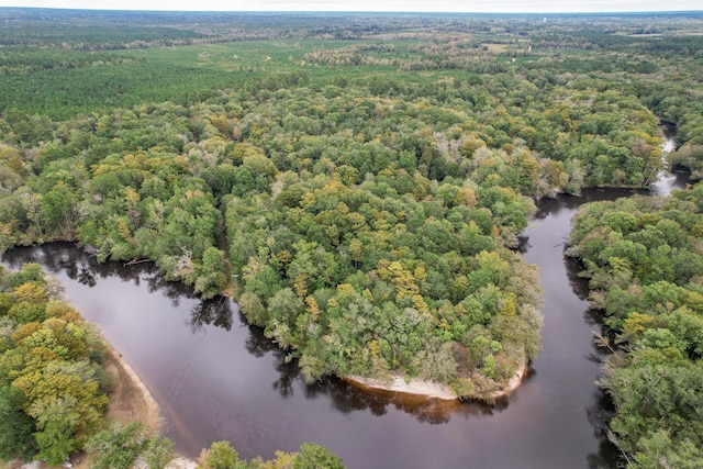1373 Bridge St, Branchville, SC 29432 - drone / aerial view of a nearby body of water and a heavily wooded area