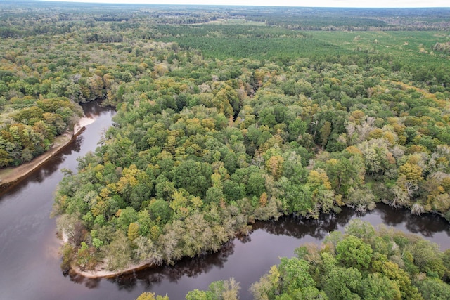 1373 Bridge St, Branchville, SC 29432 - aerial view of property's location featuring a forest and a large body of water
