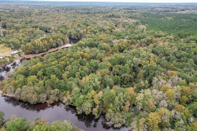1373 Bridge St, Branchville, SC 29432 - aerial overview of property's location with a heavily wooded area and a nearby body of water