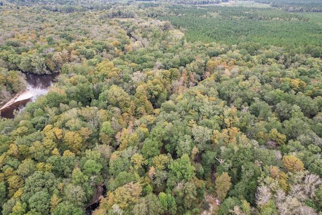 1373 Bridge St, Branchville, SC 29432 - view of property location featuring a heavily wooded area