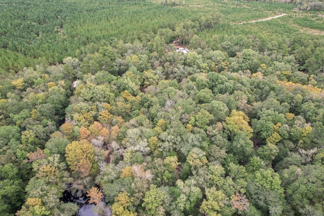 1373 Bridge St, Branchville, SC 29432 - aerial view of property and surrounding area with a forest