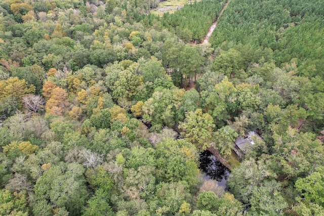 1373 Bridge St, Branchville, SC 29432 - aerial overview of property's location with a forest