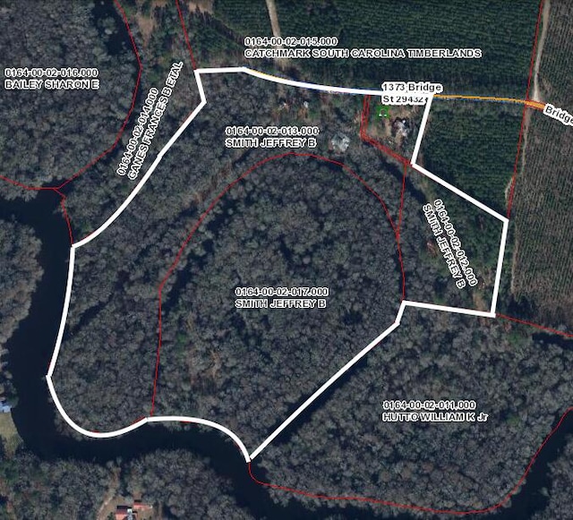 1373 Bridge St, Branchville, SC 29432 - map / location featuring property parcel outlined