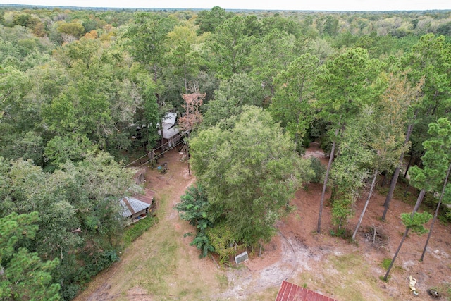 1373 Bridge St, Branchville, SC 29432 - bird's eye view of a forest