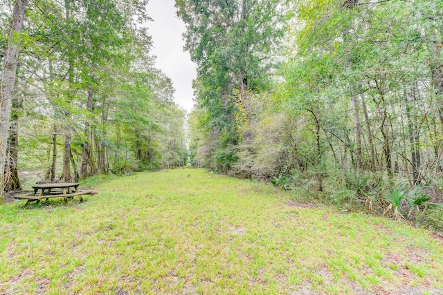 1373 Bridge St, Branchville, SC 29432 - view of grassy yard featuring a view of trees