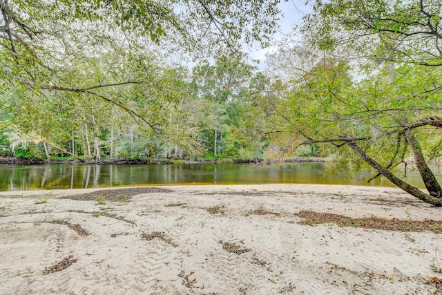1373 Bridge St, Branchville, SC 29432 - water view