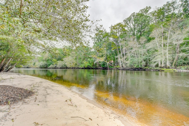 1373 Bridge St, Branchville, SC 29432 - water view with a forest