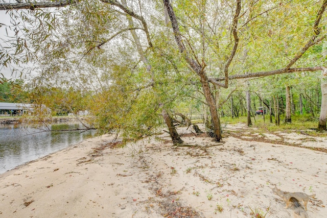 1373 Bridge St, Branchville, SC 29432 - view of yard with a water view
