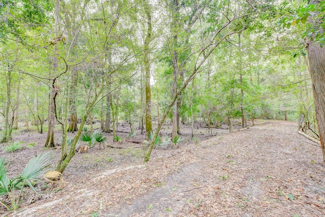 1373 Bridge St, Branchville, SC 29432 - view of yard with a wooded view