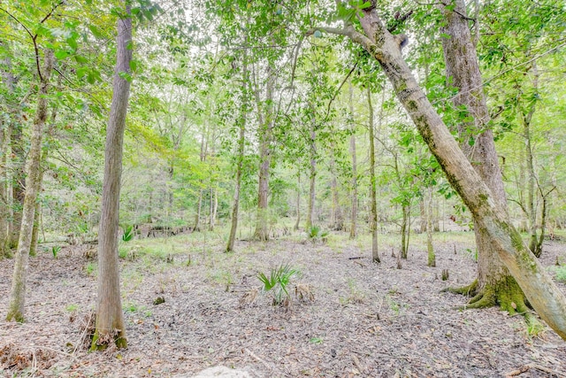 1373 Bridge St, Branchville, SC 29432 - view of woods