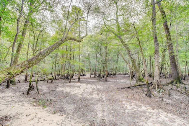 1373 Bridge St, Branchville, SC 29432 - view of wooded area