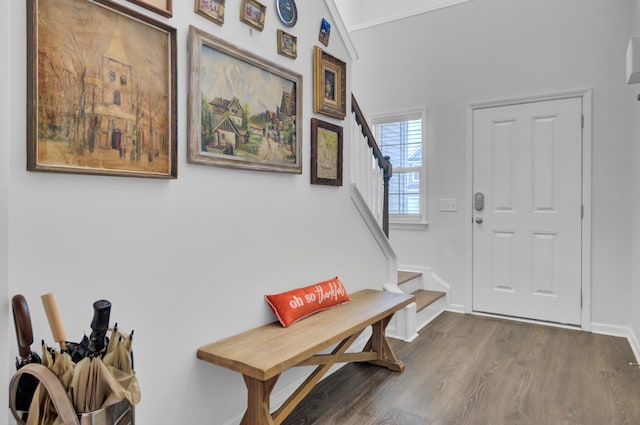 entrance foyer with hardwood / wood-style floors