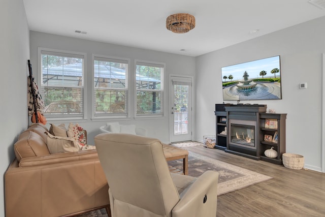 living room featuring hardwood / wood-style flooring and plenty of natural light