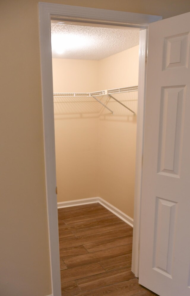 walk in closet with hardwood / wood-style flooring