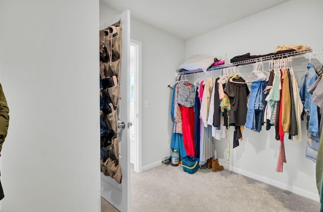 spacious closet with carpet