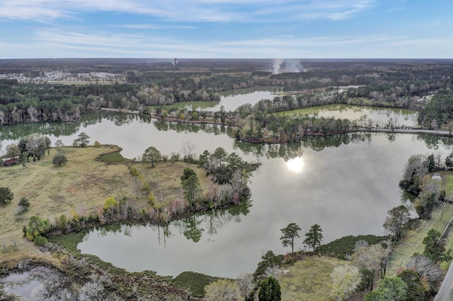 birds eye view of property featuring a water view and a wooded view