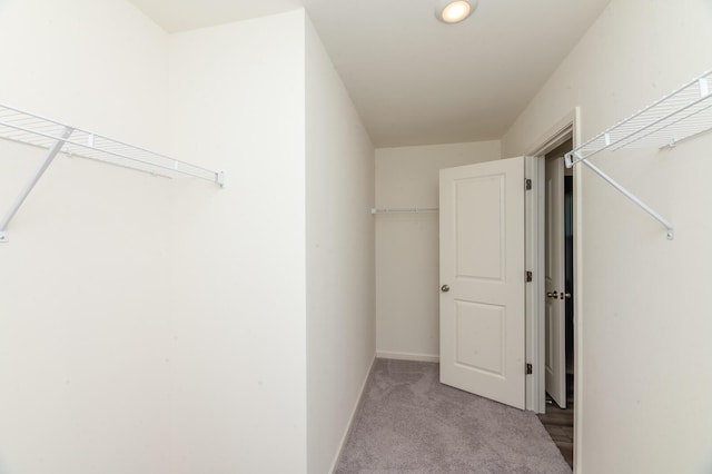 walk in closet featuring carpet flooring