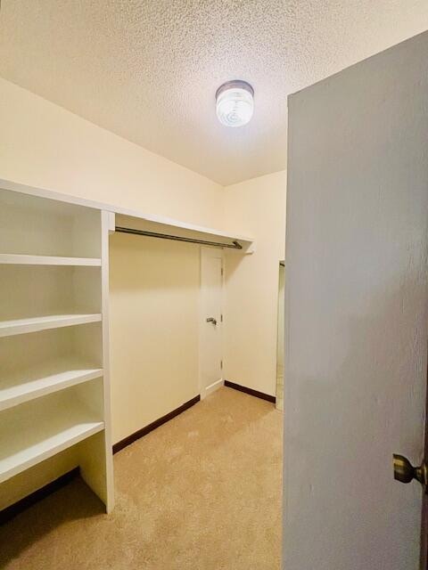 walk in closet with light carpet