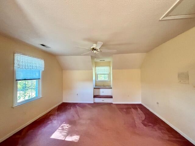 additional living space with carpet floors, a textured ceiling, plenty of natural light, and vaulted ceiling