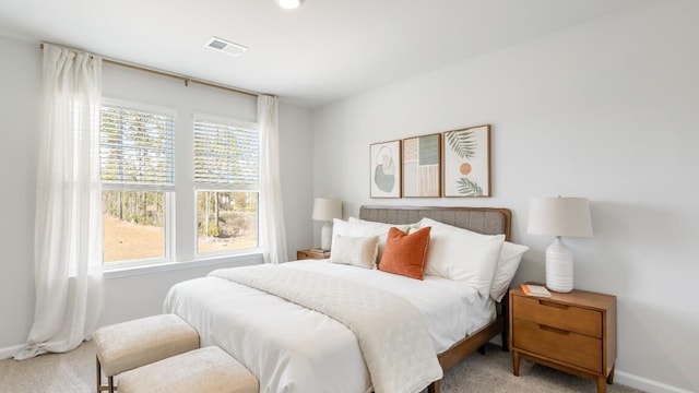 bedroom with carpet floors