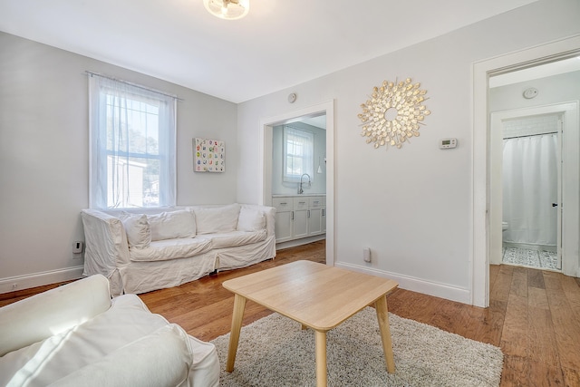 living room with hardwood / wood-style floors