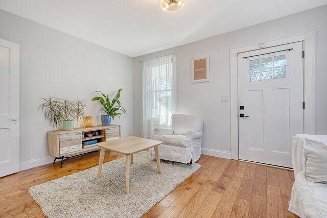 entryway featuring light wood-type flooring and a wealth of natural light