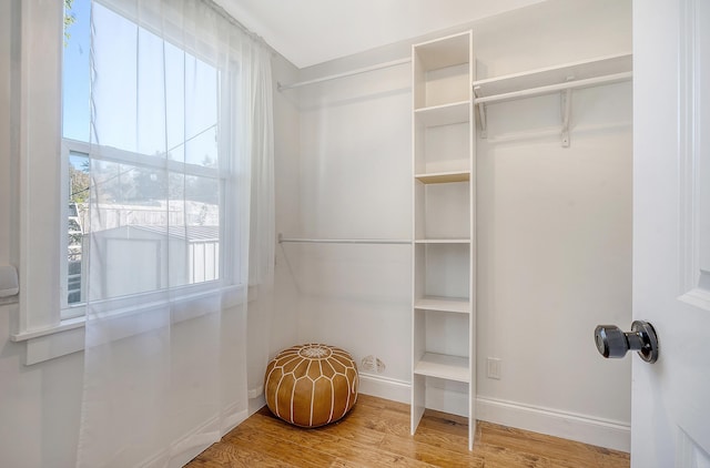 spacious closet with hardwood / wood-style flooring