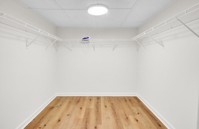 509 Hill St, Moncks Corner, SC 29461 - spacious closet with light wood-type flooring