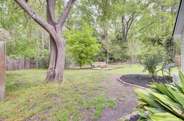 509 Hill St, Moncks Corner, SC 29461 - view of yard