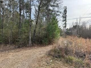 Listing photo 2 for 0 Gallashaw Rd, Summerville SC 29483