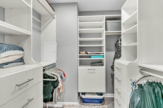 8 Pony Ln, Charleston, SC 29407 - spacious closet featuring wood finished floors