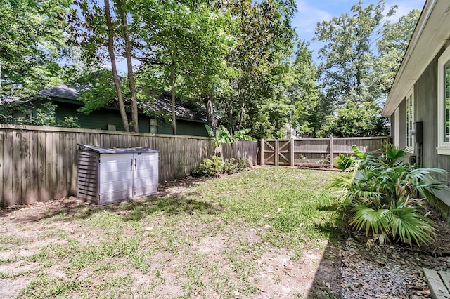 8 Pony Ln, Charleston, SC 29407 - view of yard
