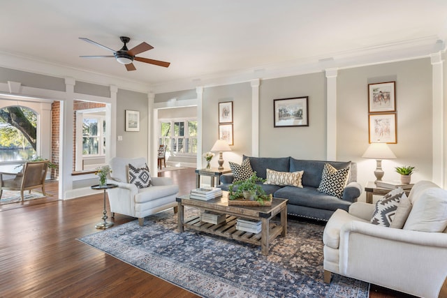 living room featuring decorative columns, a wealth of natural light, dark hardwood / wood-style floors, and crown molding