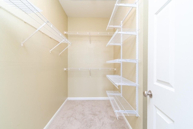 walk in closet with light carpet