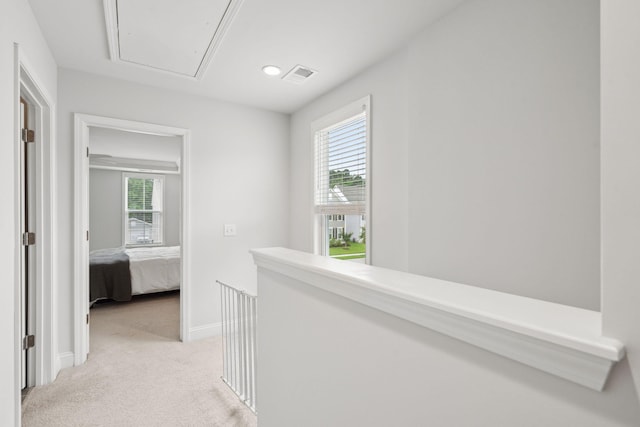 2267 Kemmerlin St, Johns Island, SC 29455 - hallway with attic access, light carpet, and healthy amount of natural light