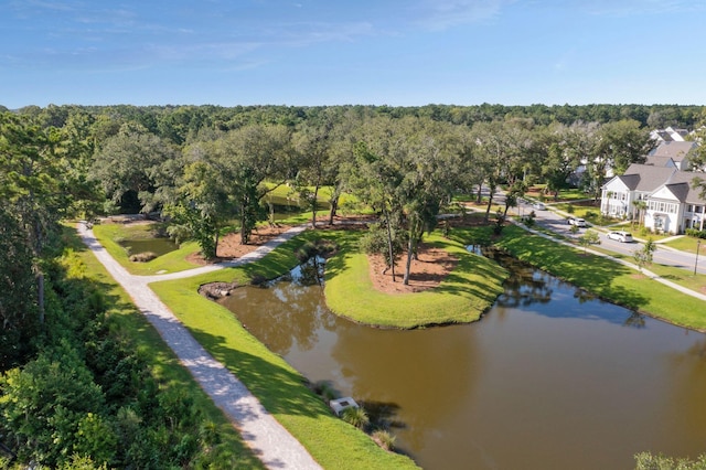 2267 Kemmerlin St, Johns Island, SC 29455 - bird's eye view of a large body of water