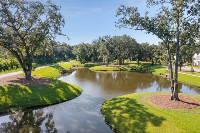 2267 Kemmerlin St, Johns Island, SC 29455 - view of community with a water view, a yard, and view of wooded area