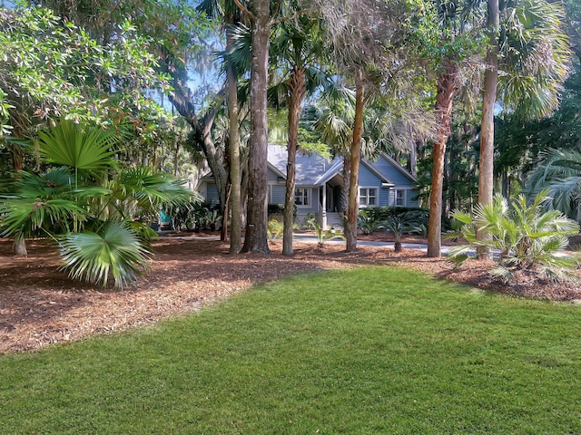 2655 Gnarled Pne, Seabrook Island, SC 29455 - view of green lawn